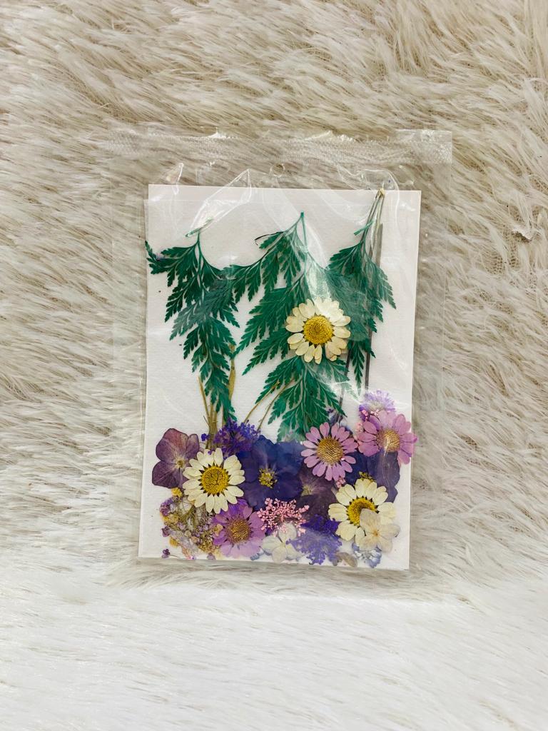 36 in 1 Pressed Dried Flowers (J)