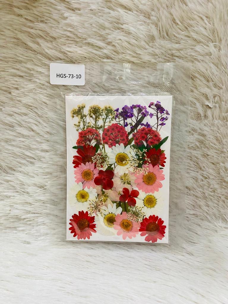 36 in 1 Pressed Dried Flowers (K)