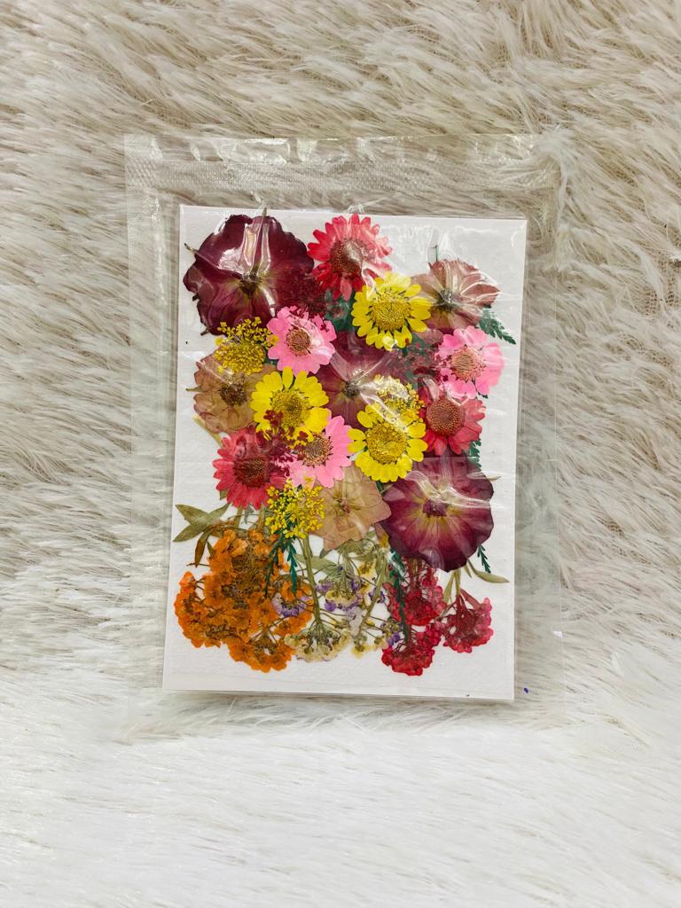 36 in 1 Pressed Dried Flowers (L)