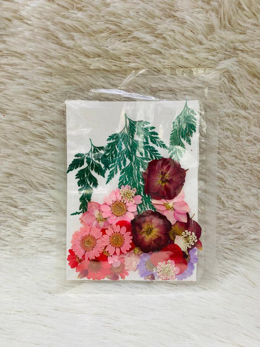 36 in 1 Pressed Dried Flowers (M)