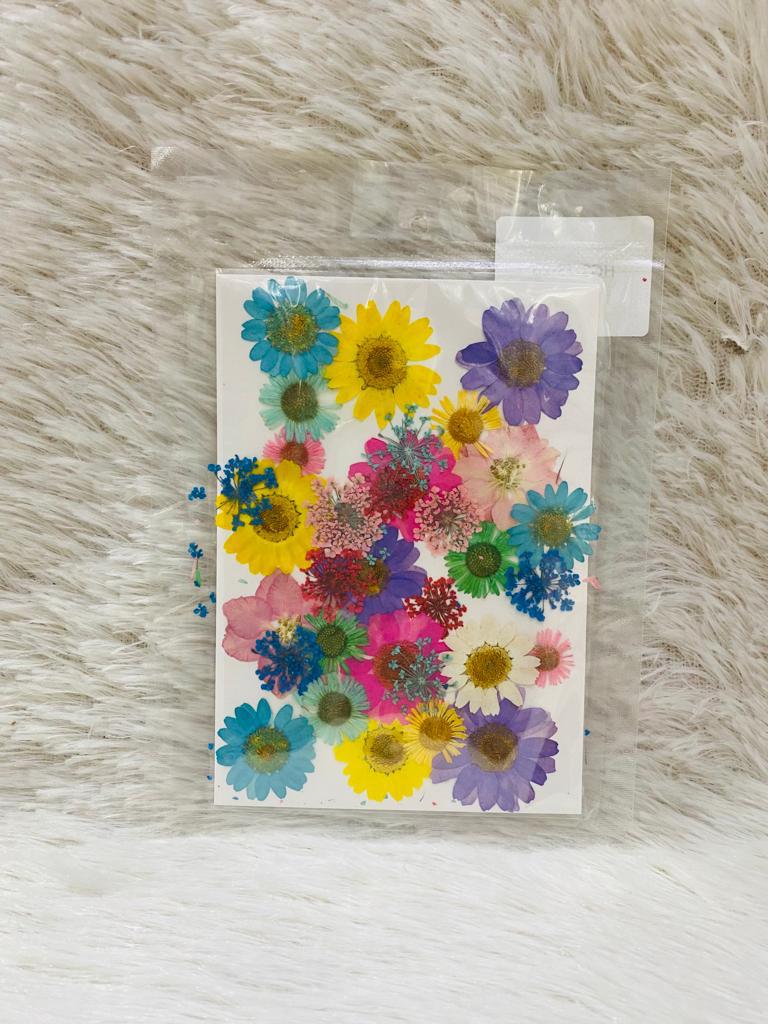 36 in 1 Pressed Dried Flowers (N)