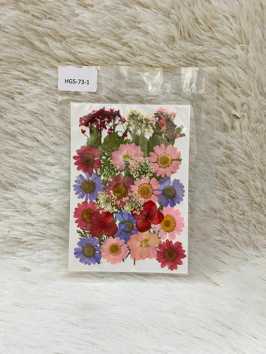 36 in 1 Pressed Dried Flowers (O)