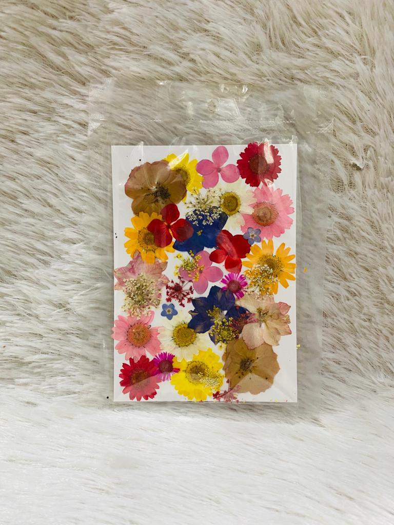 36 in 1 Pressed Dried Flowers (P)