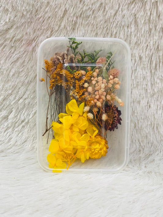 Box Dried Flowers (P)