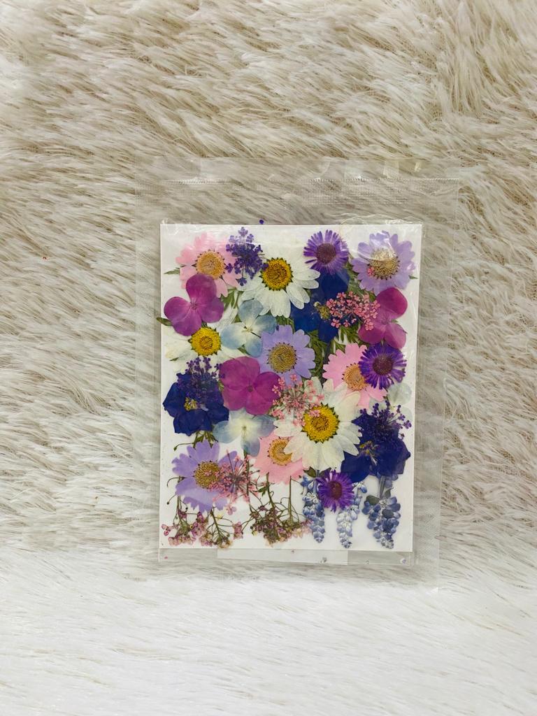 36 in 1 Pressed Dried Flowers (Q)