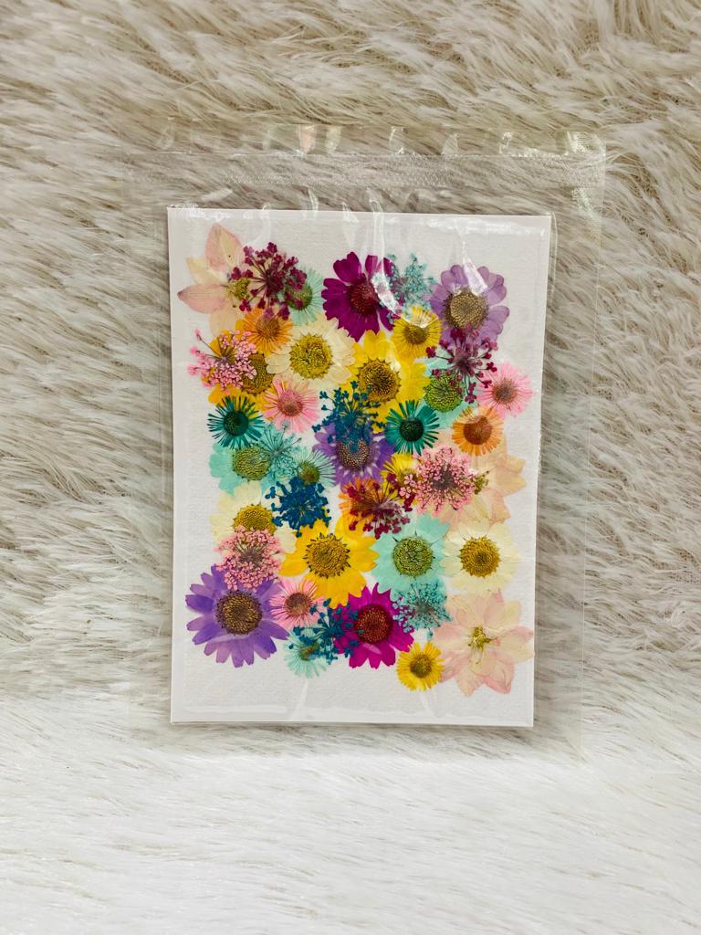 36 in 1 Pressed Dried Flowers (R)