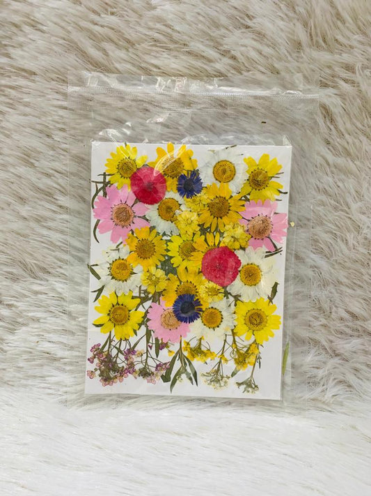 36 in 1 Pressed Dried Flowers (A)