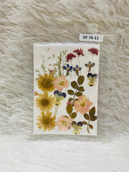 24 in 1 Pressed Dried Flowers (A)