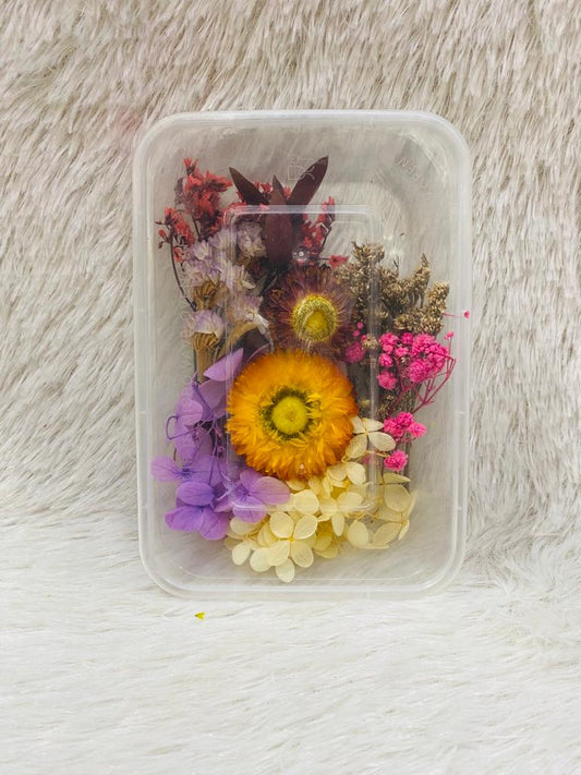 Box Dried Flowers (V)