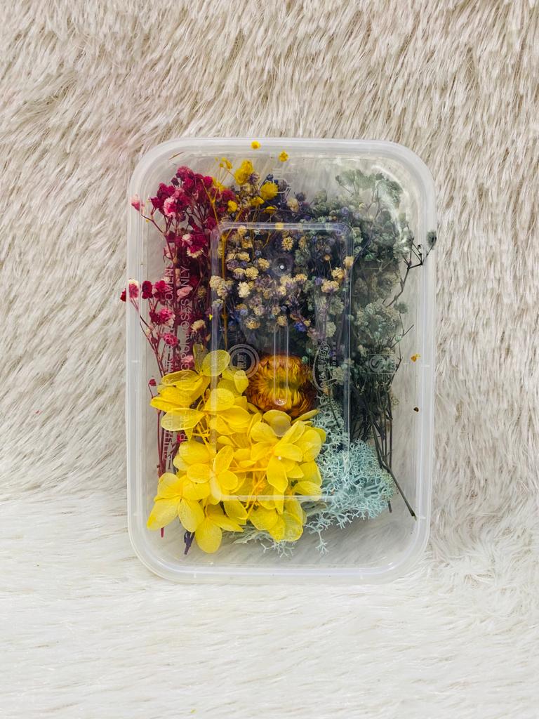 Box Dried Flowers (Y)