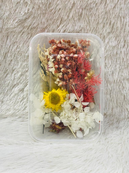 Box Dried Flowers (B)