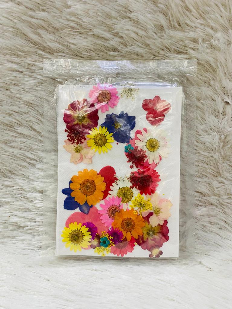 36 in 1 Pressed Dried Flowers (B)