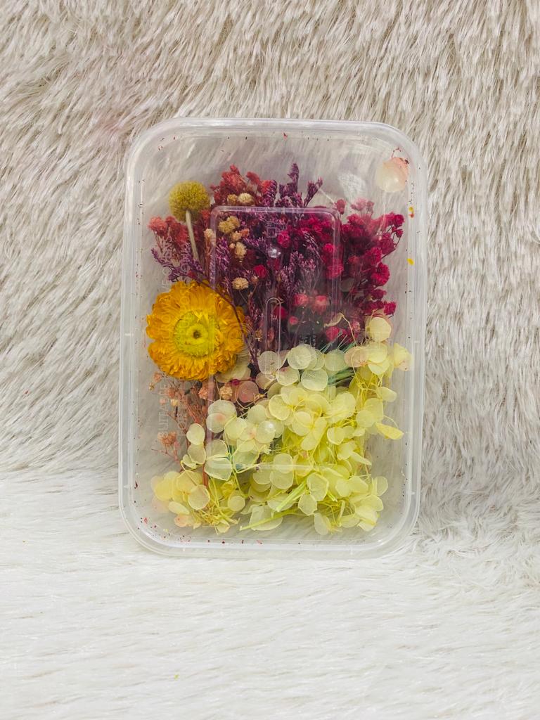 Box Dried Flowers (Z)