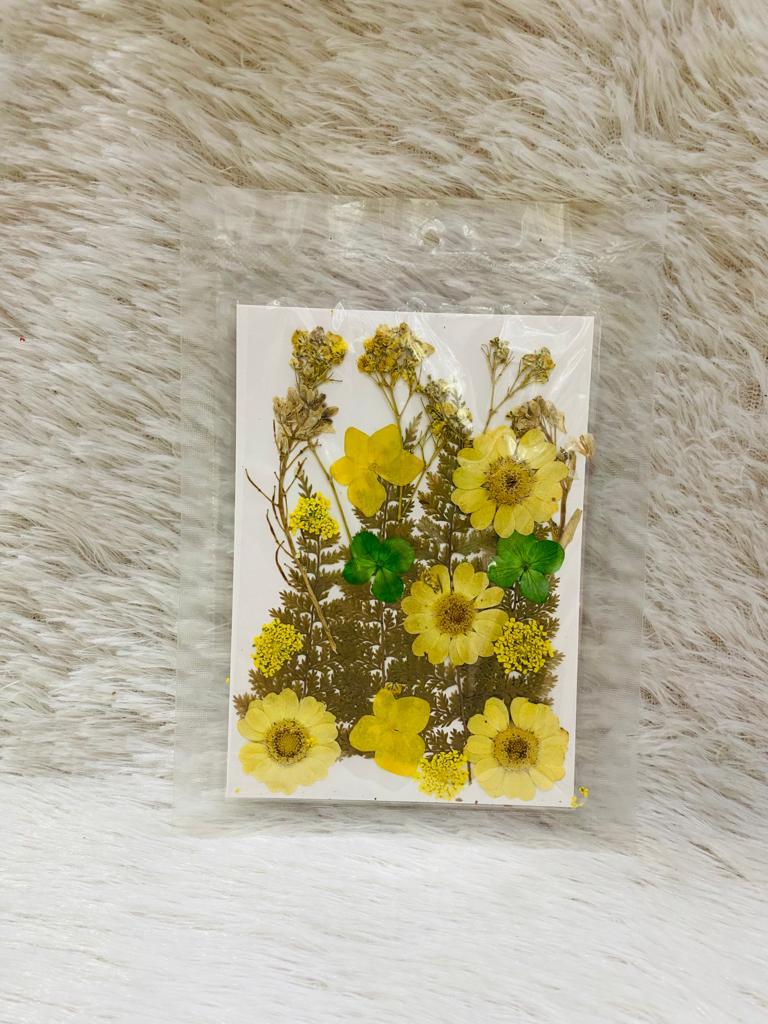 24 in 1 Pressed Dried Flowers (B)