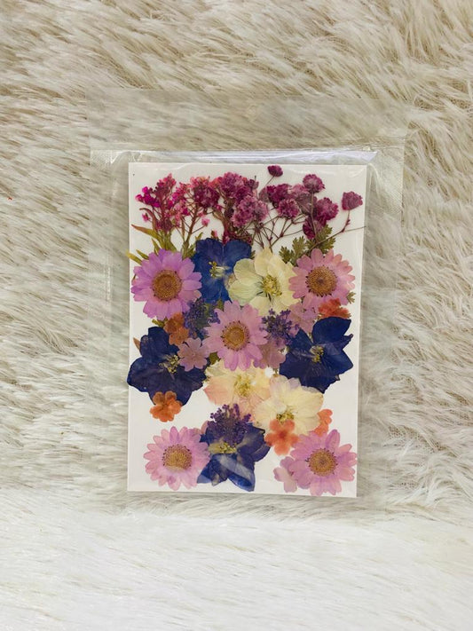 36 in 1 Pressed Dried Flowers (C)