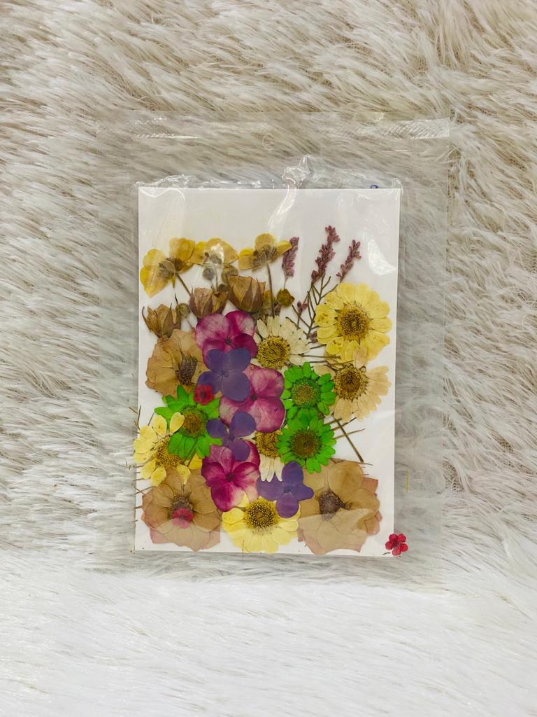 36 in 1 Pressed Dried Flowers (D)