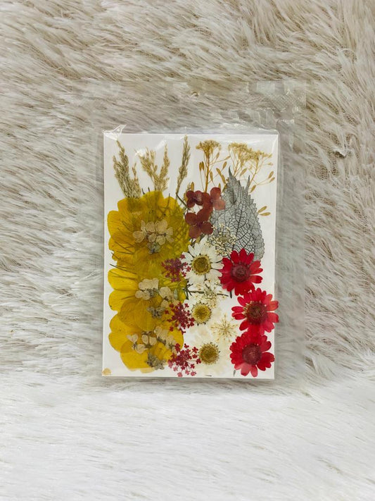 36 in 1 Pressed Dried Flowers (E)