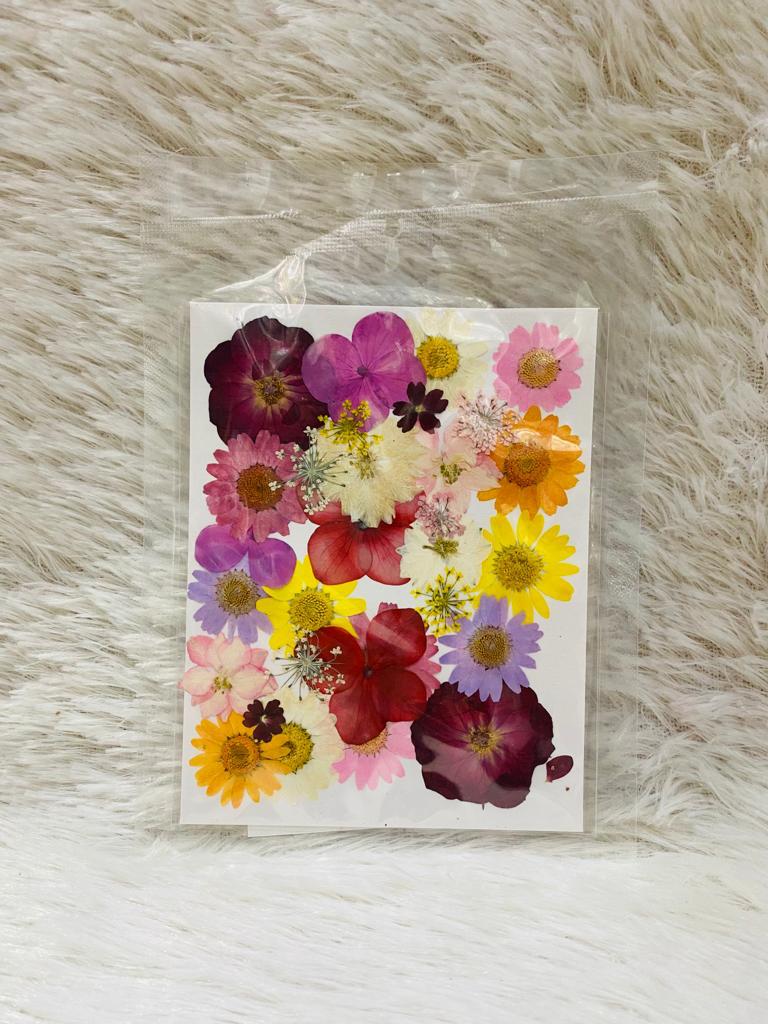 36 in 1 Pressed Dried Flowers (F)