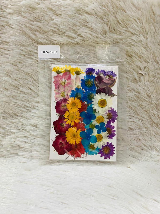 36 in 1 Pressed Dried Flowers (G)