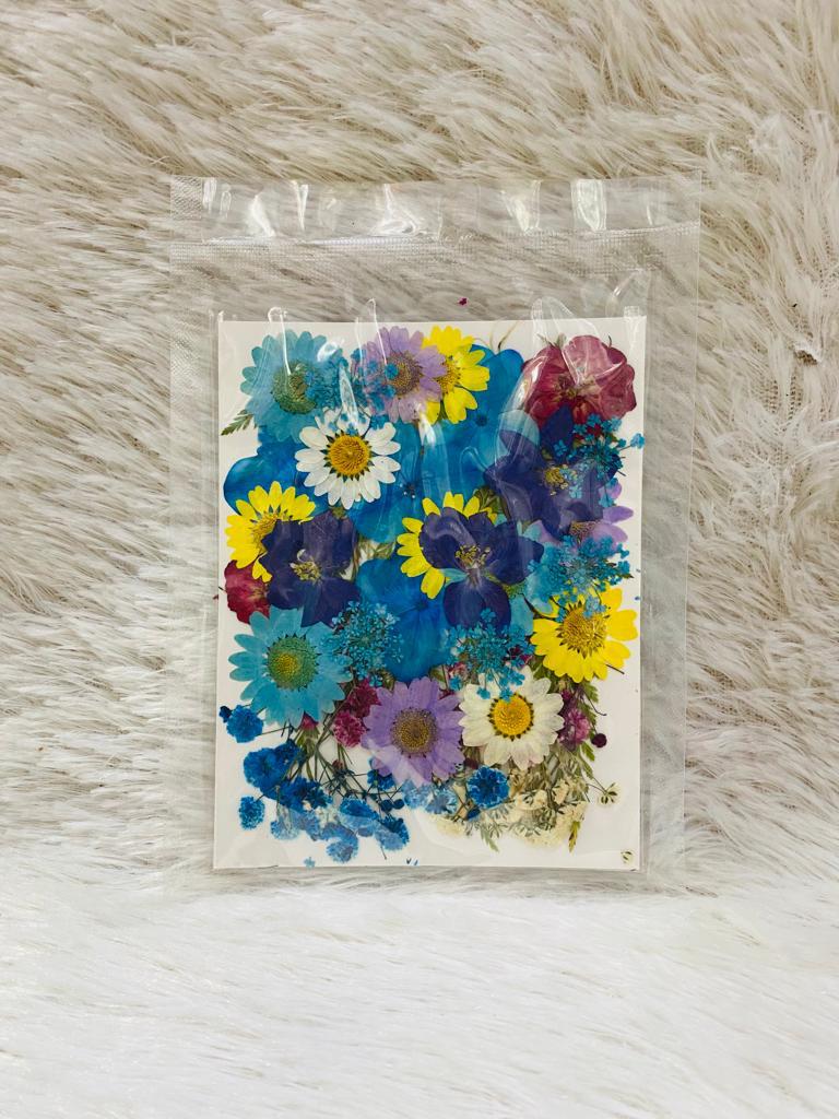 36 in 1 Pressed Dried Flowers (H)