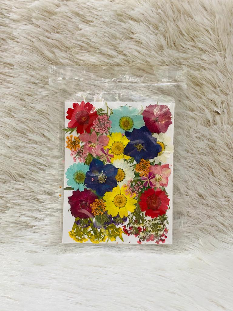 36 in 1 Pressed Dried Flowers (I)