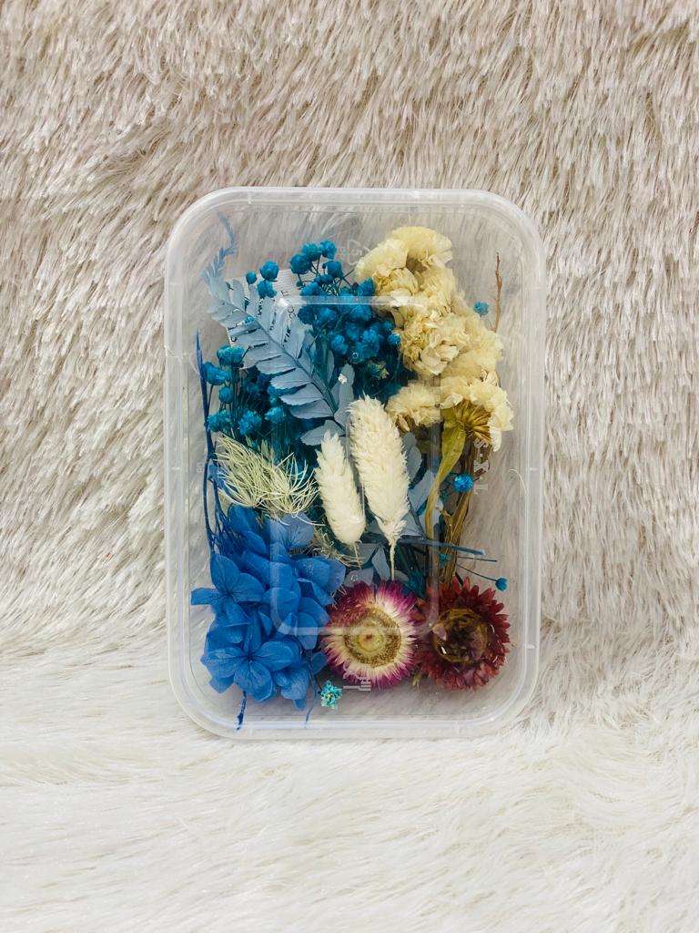 Box Dried Flowers (I)