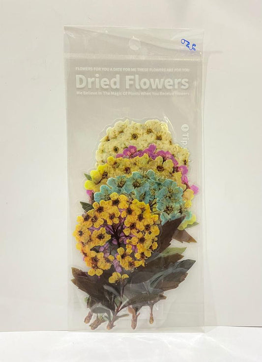 Resin Dry Flower Stickers